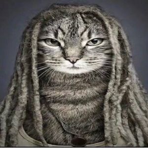 Meet your Posher, Kai